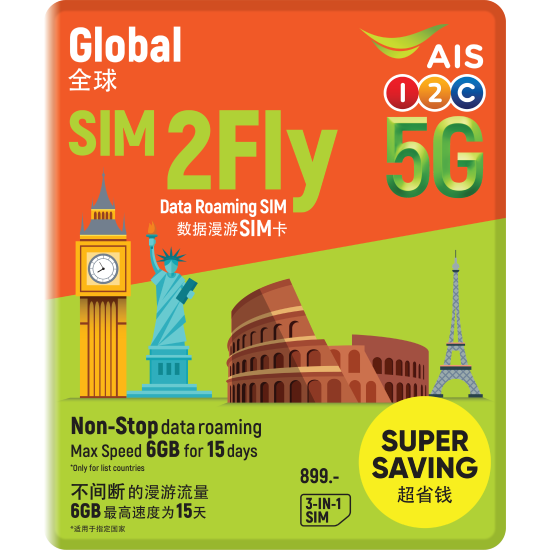 HolidayeSIM 6GB Global